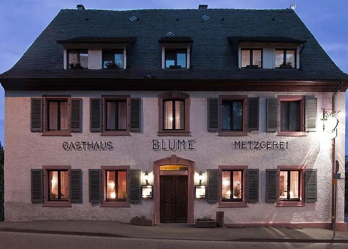 Das Blümchen Freiburg im Breisgau